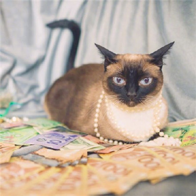 2025阳光男孩网名精选：活力四射的青春代号